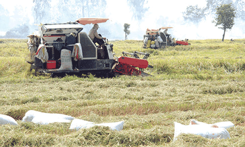 Chốt thép Nhơn Hưng