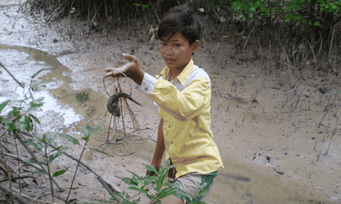 Về đất Mũi săn cá thòi lòi, nướng với muối ớt