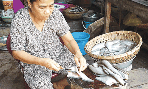 Cá thác lác Gia An - Bình Thuận