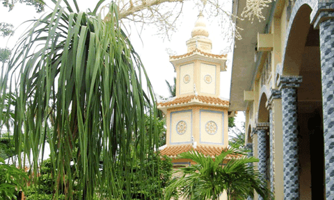 Lạ lùng lan bình rượu nở hoa