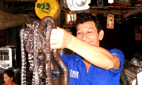 Độc đáo chợ rắn miền Tây mùa nước nổi