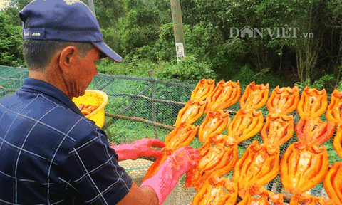 Thơm ngon khô cá lóc đồng đất Tam Nông