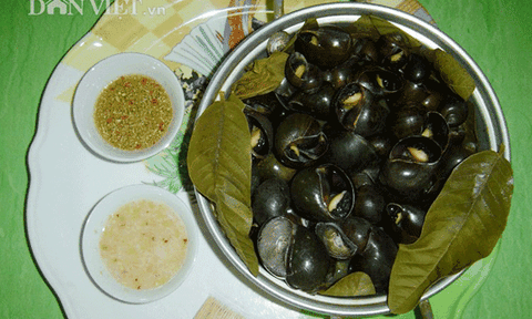 Về Tri Tôn ăn ốc đá treo giàn bếp