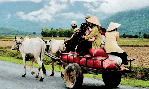 Thân thương cỗ xe bò Bảy Núi