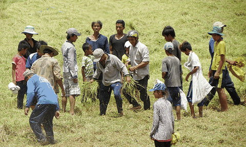Nào, cùng ví cù bắt chuột!