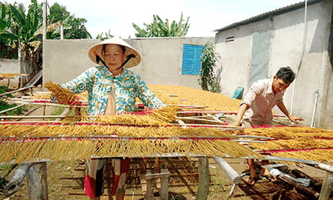 Hậu Giang: Tăng thu nhập từ nghề làm nhang