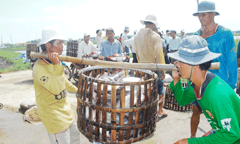  Doanh nghiệp teo tóp lợi nhuận 