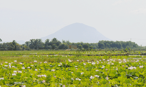  Ngàn năm văn hoá Thanh Điền 