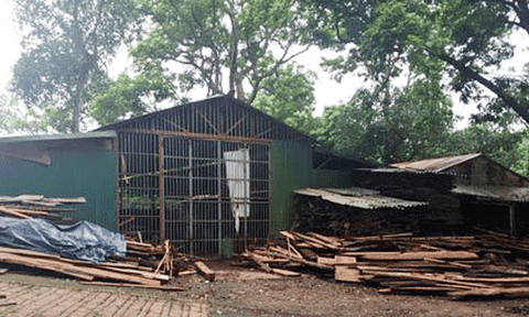 Sở VHTTDL Hà Nội yêu cầu di dời xưởng gỗ tại chùa Trăm Gian