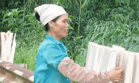 Khấm khá hơn nhờ kinh tế đồi rừng