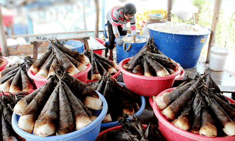 An Giang: Nghịch lý xứ núi