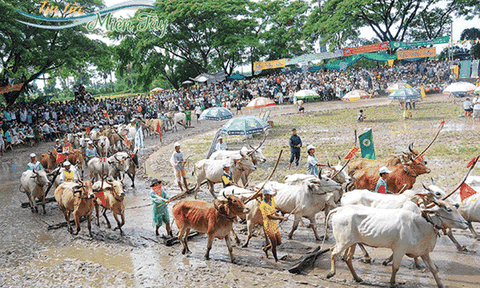 Đặc sắc lễ hội Dolta