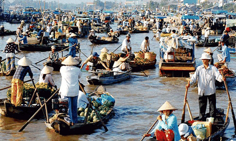 Du lịch miệt vườn cây trái cây Phong Điền ở Cần Thơ