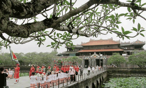 Thừa Thiên - Huế: Bảo tồn cây đặc trưng tại các khu vực di tích