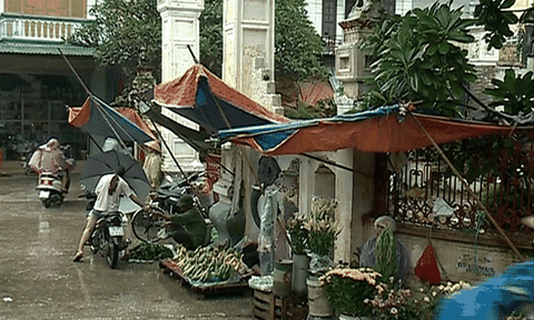 Hà Nội: Chợ tạm họp trước cửa Đình La Phù