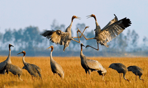 Quyết định xếp hạng Di tích quốc gia cho 06 di tích 