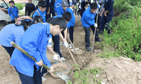 Hải Phòng: Ra quân “Ngày Chủ nhật xanh” năm 2015