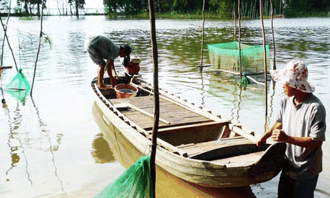 Miền Tây “khát” lũ