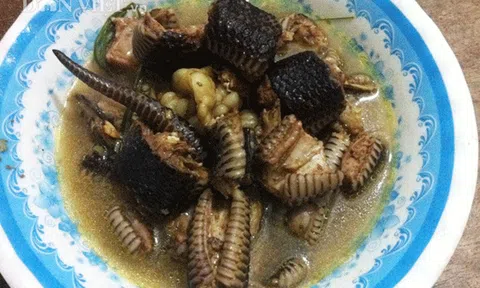 “Nhớ đời” món rắn hổ hành hầm sả ở rốn lũ miền Tây