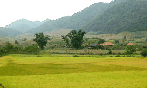 Chiều thu yên ả nơi bản làng Tây Bắc