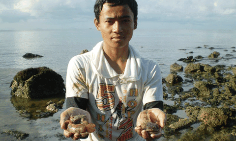 Theo chân người săn cá mang ếch