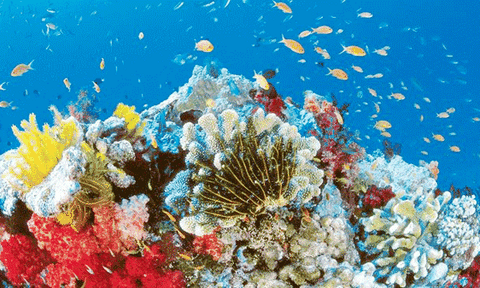 Di sản thiên nhiên thế giới bị đe dọa bởi khai thác tài nguyên