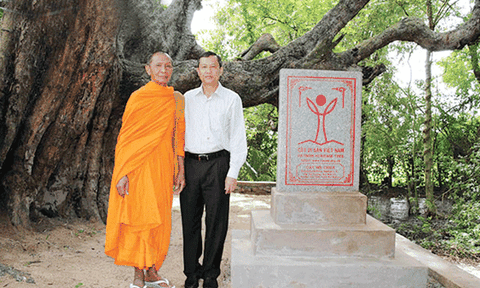 Thăm những cây di sản trên vùng núi