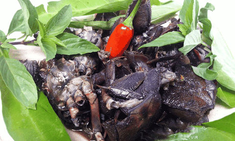 Về miền Tây “ăn hội” con ba khía