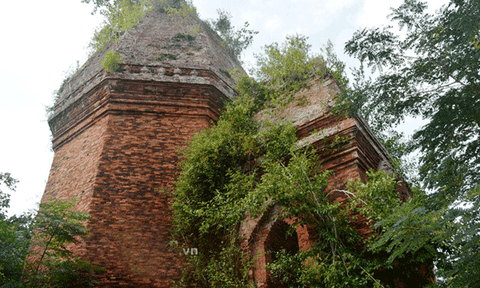 Trầm mặc rêu phong tháp Bằng An