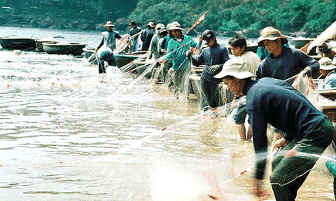 Hoang sơ mũi Ba Làng An
