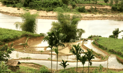 Vẻ đẹp ruộng vùng cao ở Quảng Ngãi