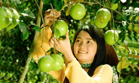 Phong Điền, xứ sở của người đẹp ít ai biết