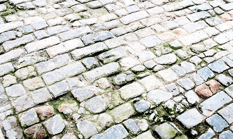 Phát hiện mới về kinh đô Thăng Long