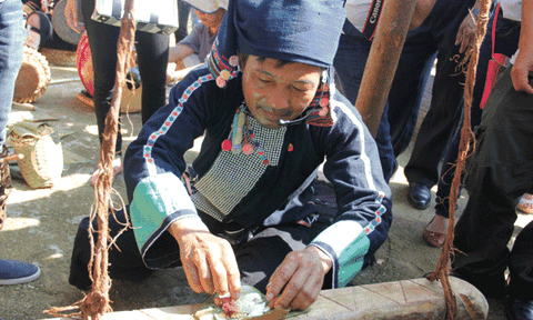 Lễ cúng cây đu của dân tộc Hà Nhì ở Lai Châu