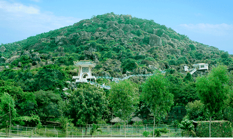 Chuyển giao Khu di tích lịch sử cách mạng Đồi Tức Dụp