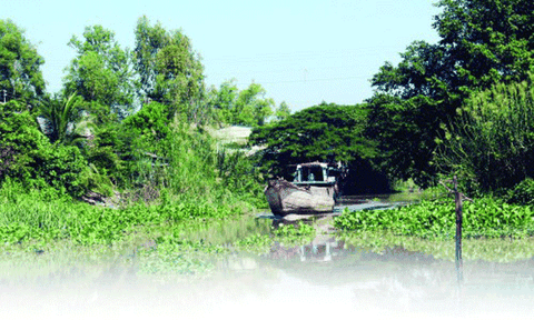  Độc đáo du lịch ghe xuồng miền Tây Nam bộ 