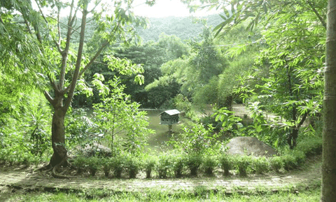 Sơn Trà Tịnh Viên - về với hồn quê Việt