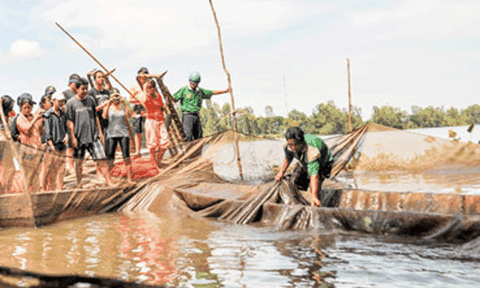 Tát đìa đón Tết ở miền Tây