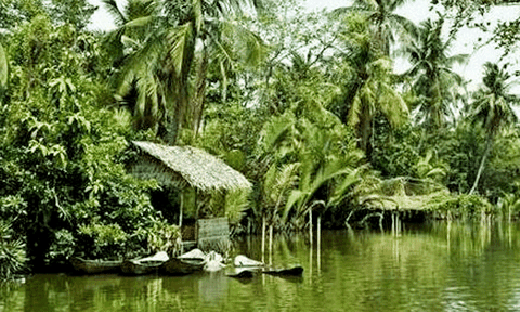 Những điều cần biết khi về cù lao Vàm Nao (An Giang) mùa nước nổi