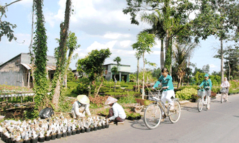 Sa Đéc vào xuân