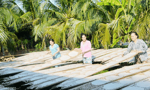 Làng nghề bánh tráng Mỹ Lồng rộn ràng chào Xuân