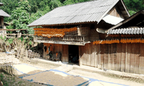 Kiến trúc nhà ở của người Cống