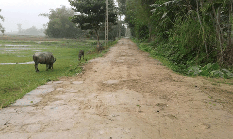 Xã Đức Lạc: Cần hỗ trợ đầu tư trong xây dựng nông thôn mới