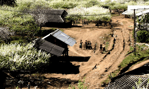 Thức dậy Mộc Châu