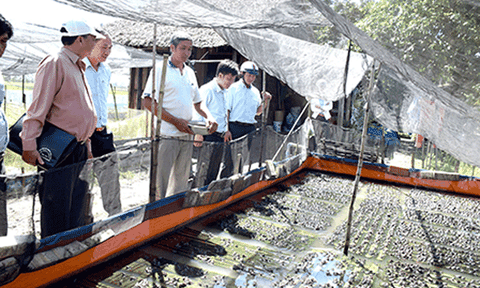 Trung An xây dựng “xã nông thôn mới” bền vững