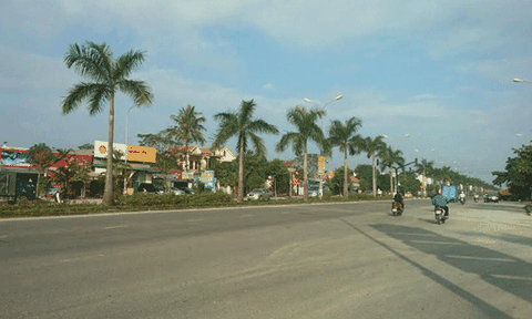 Xã Nghi Phú: Cơ cấu kinh tế chuyển dịch đúng hướng