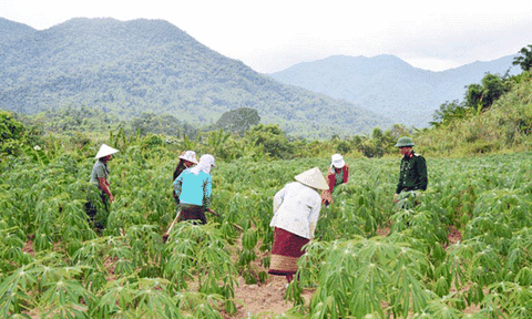 Sắc xuân Kim Thủy