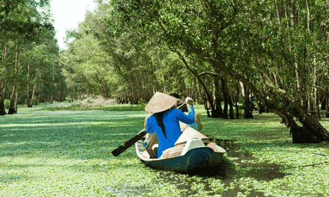 Báo Anh chia sẻ hành trình dọc lưu vực sông Mekong 