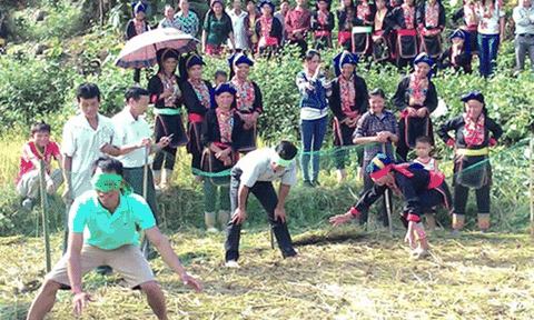 Độc đáo tục đón Tết của đồng bào Dao Thanh Phán