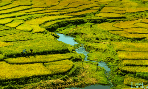 Trở lại chốn xưa